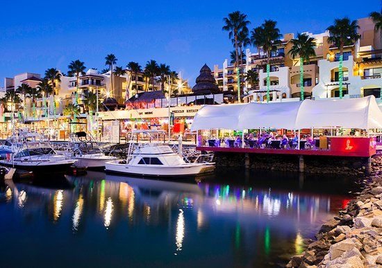 Baja Lobster Co